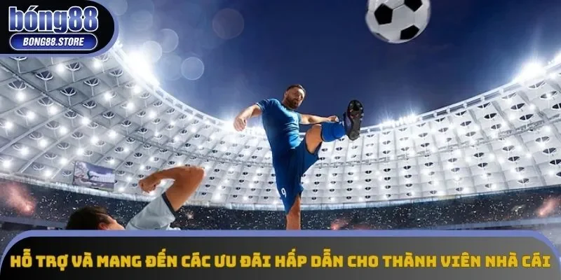 Hỗ trợ và mang đến các ưu đãi hấp dẫn cho thành viên nhà cái Hỗ trợ và mang đến các ưu đãi hấp dẫn cho thành viên nhà cái