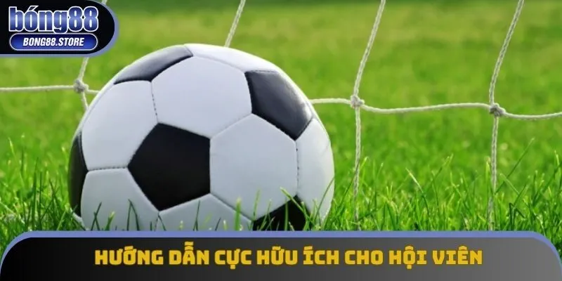 Hướng dẫn cực hữu ích cho hội viên Hướng dẫn cực hữu ích cho hội viên